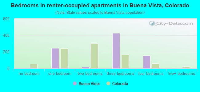 Bedrooms in renter-occupied apartments in Buena Vista, Colorado