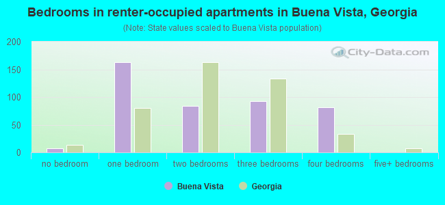 Bedrooms in renter-occupied apartments in Buena Vista, Georgia