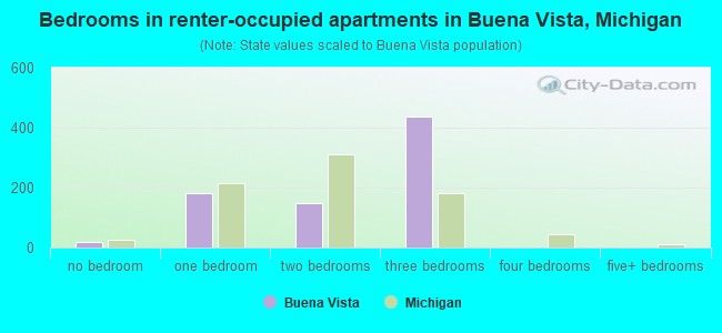 Bedrooms in renter-occupied apartments in Buena Vista, Michigan