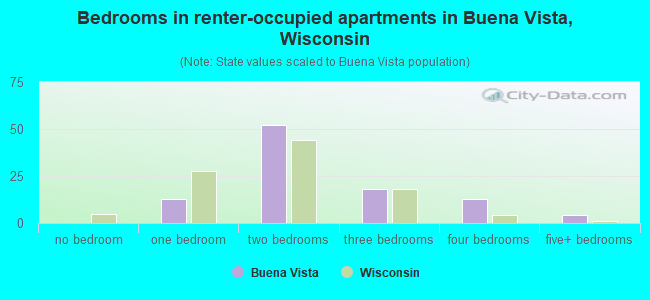 Bedrooms in renter-occupied apartments in Buena Vista, Wisconsin