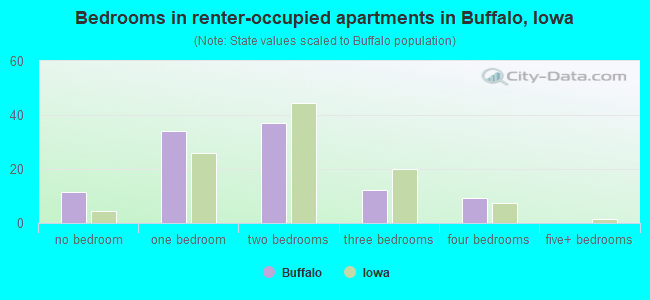 Bedrooms in renter-occupied apartments in Buffalo, Iowa