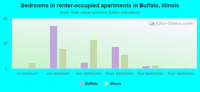 Bedrooms in renter-occupied apartments in Buffalo, Illinois