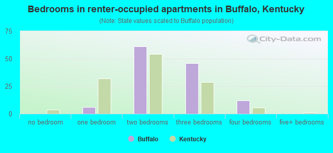 Bedrooms in renter-occupied apartments in Buffalo, Kentucky