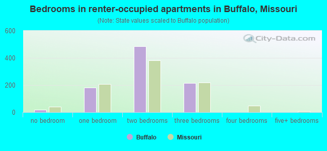 Bedrooms in renter-occupied apartments in Buffalo, Missouri