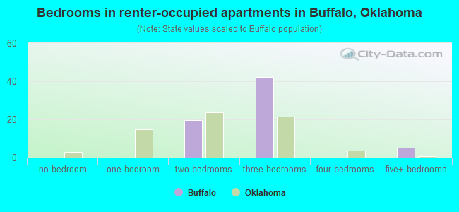 Bedrooms in renter-occupied apartments in Buffalo, Oklahoma