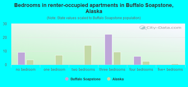 Bedrooms in renter-occupied apartments in Buffalo Soapstone, Alaska