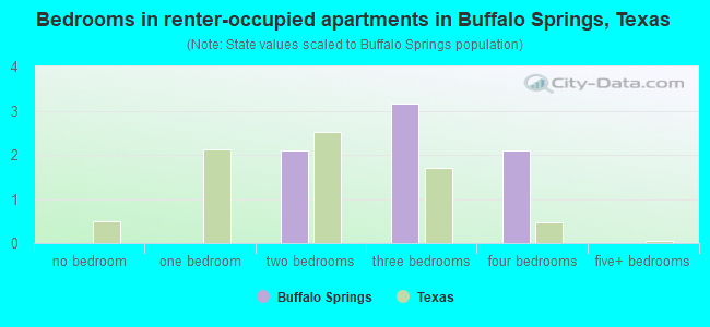 Bedrooms in renter-occupied apartments in Buffalo Springs, Texas