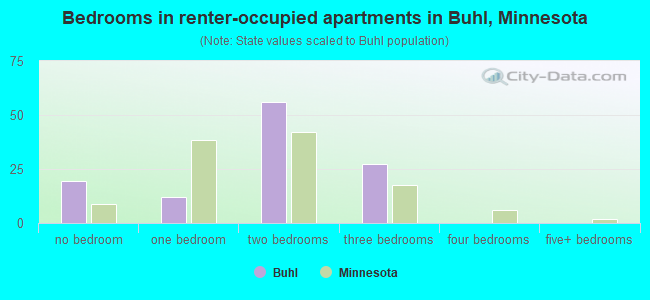 Bedrooms in renter-occupied apartments in Buhl, Minnesota