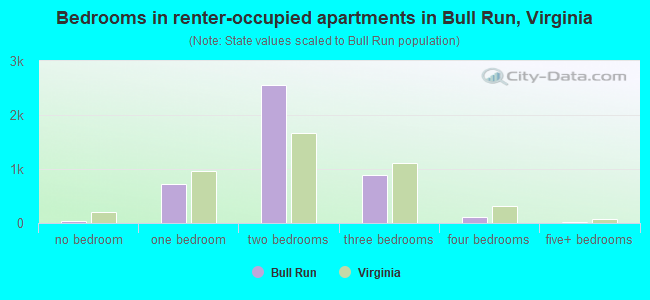 Bedrooms in renter-occupied apartments in Bull Run, Virginia