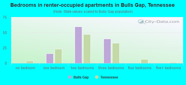 Bedrooms in renter-occupied apartments in Bulls Gap, Tennessee