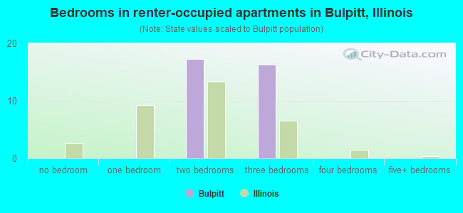 Bedrooms in renter-occupied apartments in Bulpitt, Illinois