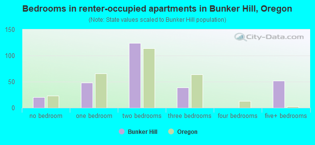 Bedrooms in renter-occupied apartments in Bunker Hill, Oregon