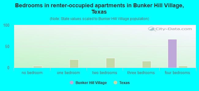 Bedrooms in renter-occupied apartments in Bunker Hill Village, Texas
