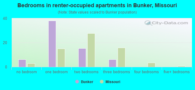 Bedrooms in renter-occupied apartments in Bunker, Missouri