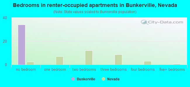 Bedrooms in renter-occupied apartments in Bunkerville, Nevada
