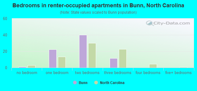 Bedrooms in renter-occupied apartments in Bunn, North Carolina