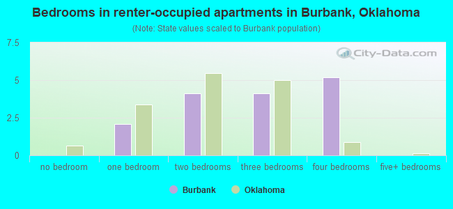 Bedrooms in renter-occupied apartments in Burbank, Oklahoma