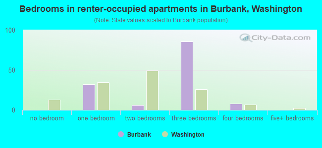 Bedrooms in renter-occupied apartments in Burbank, Washington