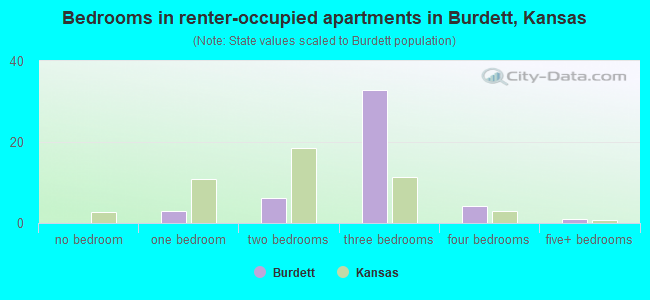 Bedrooms in renter-occupied apartments in Burdett, Kansas