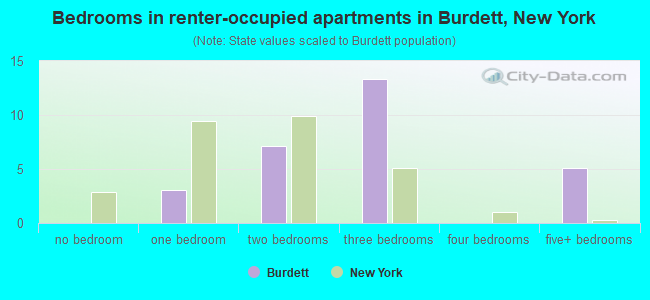 Bedrooms in renter-occupied apartments in Burdett, New York