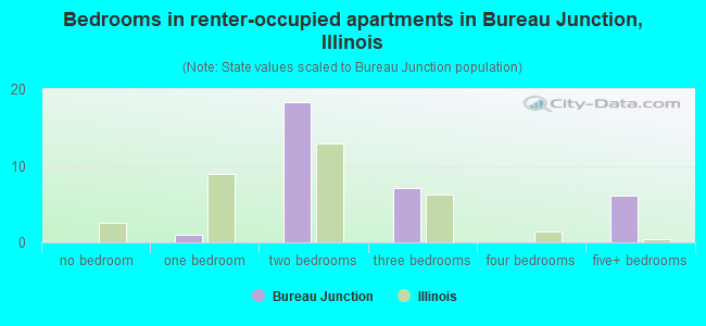 Bedrooms in renter-occupied apartments in Bureau Junction, Illinois