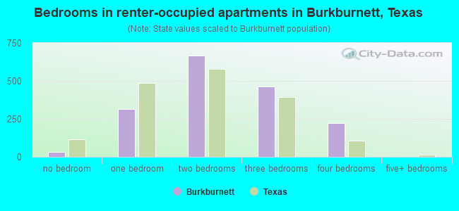 Bedrooms in renter-occupied apartments in Burkburnett, Texas