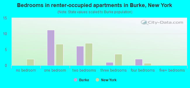 Bedrooms in renter-occupied apartments in Burke, New York