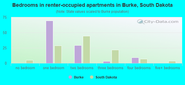 Bedrooms in renter-occupied apartments in Burke, South Dakota