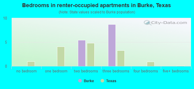 Bedrooms in renter-occupied apartments in Burke, Texas