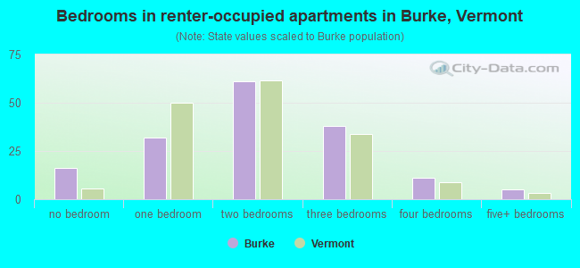 Bedrooms in renter-occupied apartments in Burke, Vermont