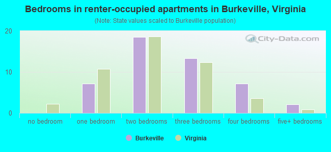 Bedrooms in renter-occupied apartments in Burkeville, Virginia