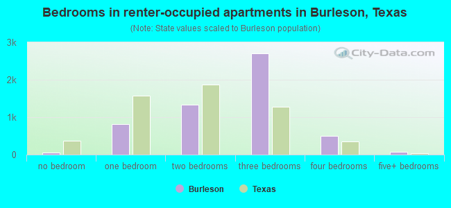 Bedrooms in renter-occupied apartments in Burleson, Texas