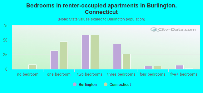 Bedrooms in renter-occupied apartments in Burlington, Connecticut