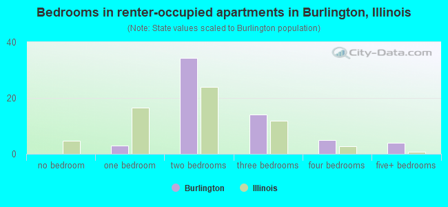 Bedrooms in renter-occupied apartments in Burlington, Illinois