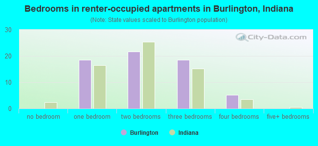 Bedrooms in renter-occupied apartments in Burlington, Indiana