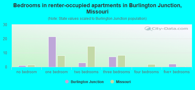 Bedrooms in renter-occupied apartments in Burlington Junction, Missouri