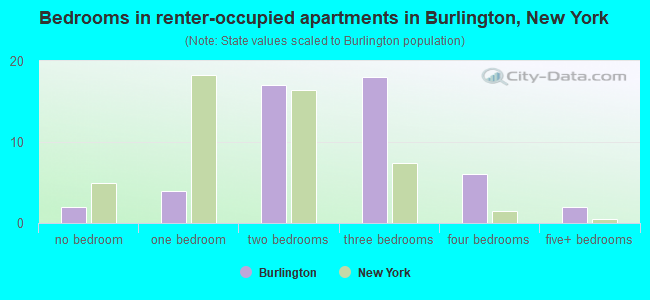 Bedrooms in renter-occupied apartments in Burlington, New York