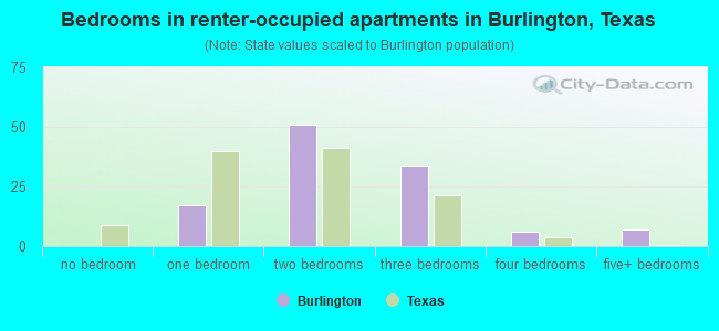 Bedrooms in renter-occupied apartments in Burlington, Texas