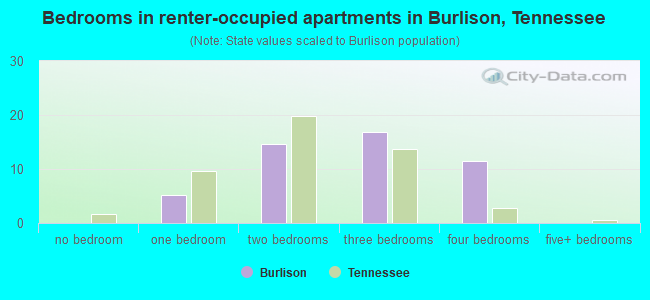 Bedrooms in renter-occupied apartments in Burlison, Tennessee