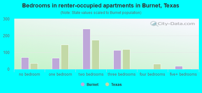 Bedrooms in renter-occupied apartments in Burnet, Texas
