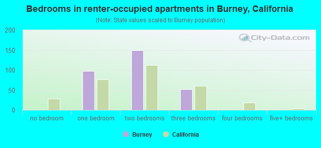 Bedrooms in renter-occupied apartments in Burney, California