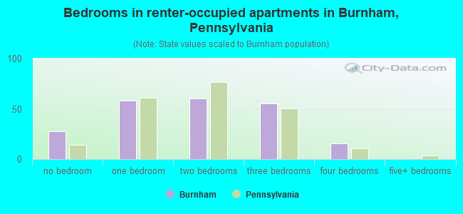 Bedrooms in renter-occupied apartments in Burnham, Pennsylvania