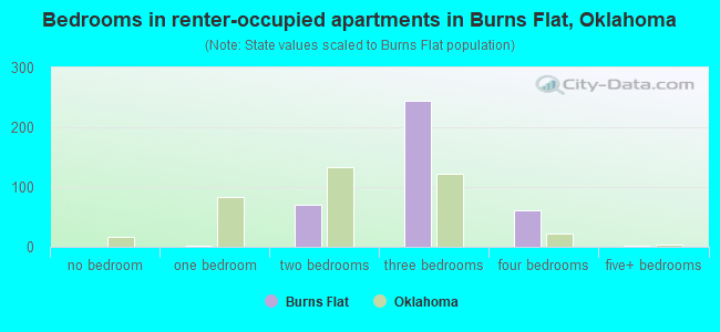 Bedrooms in renter-occupied apartments in Burns Flat, Oklahoma