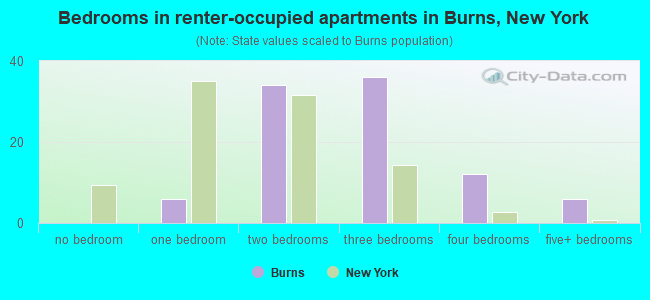 Bedrooms in renter-occupied apartments in Burns, New York