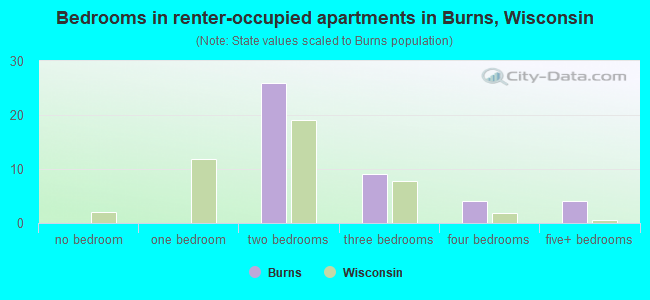Bedrooms in renter-occupied apartments in Burns, Wisconsin