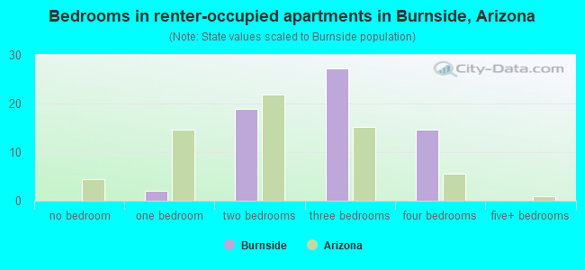 Bedrooms in renter-occupied apartments in Burnside, Arizona