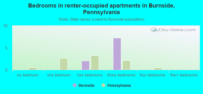 Bedrooms in renter-occupied apartments in Burnside, Pennsylvania