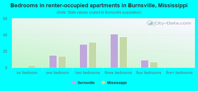 Bedrooms in renter-occupied apartments in Burnsville, Mississippi