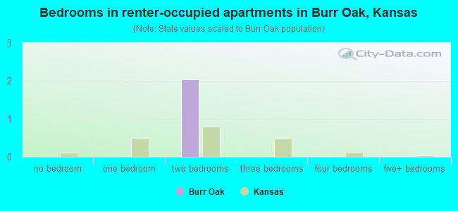 Bedrooms in renter-occupied apartments in Burr Oak, Kansas