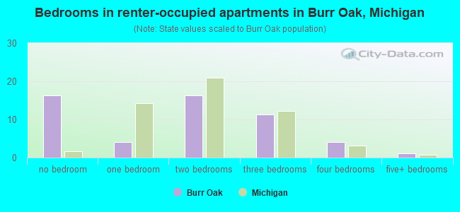 Bedrooms in renter-occupied apartments in Burr Oak, Michigan